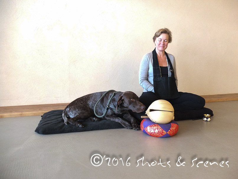 Zen Centrum Arnhem